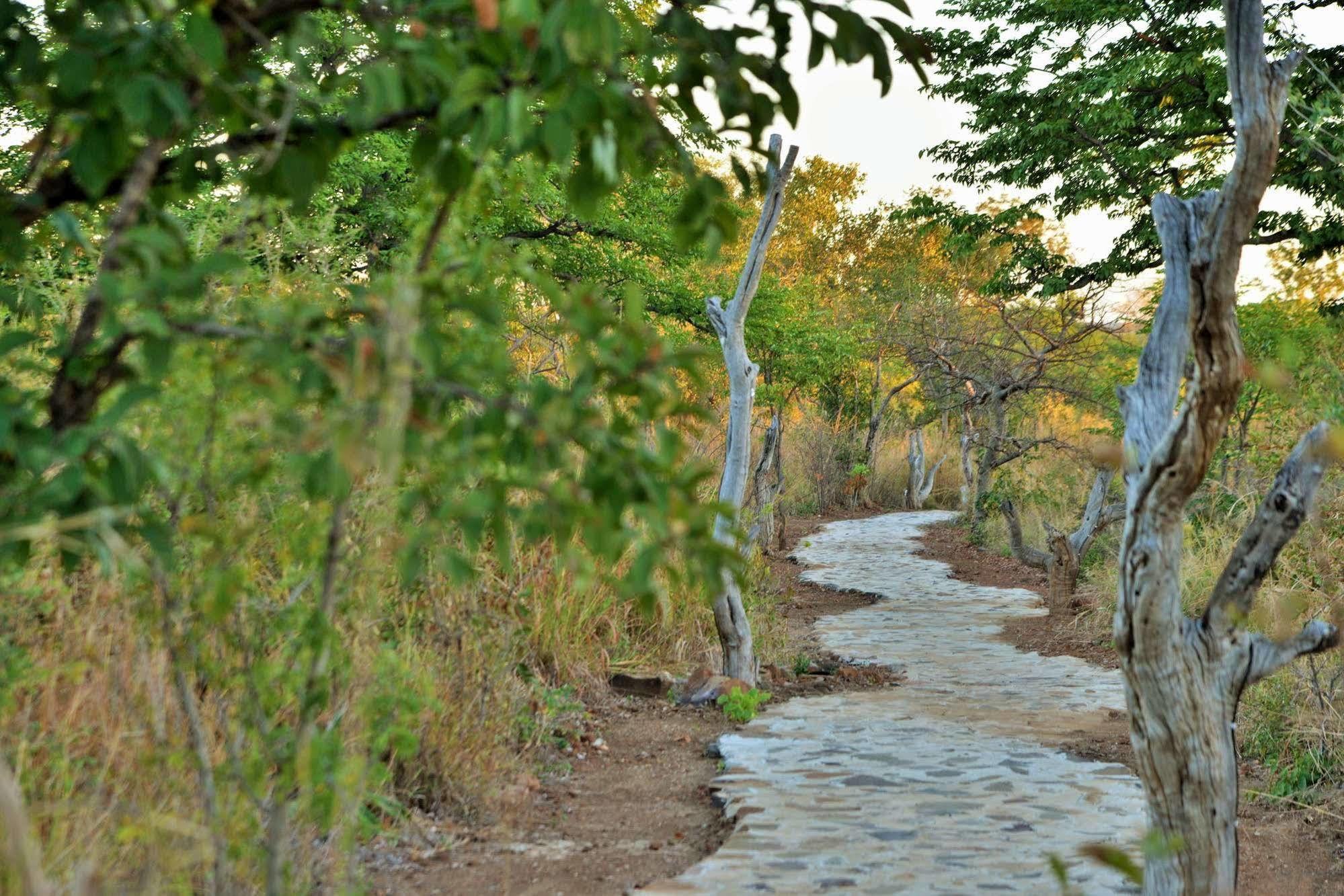 Wildtrack Safaris Eco Lodge Pandamatenga Exterior foto