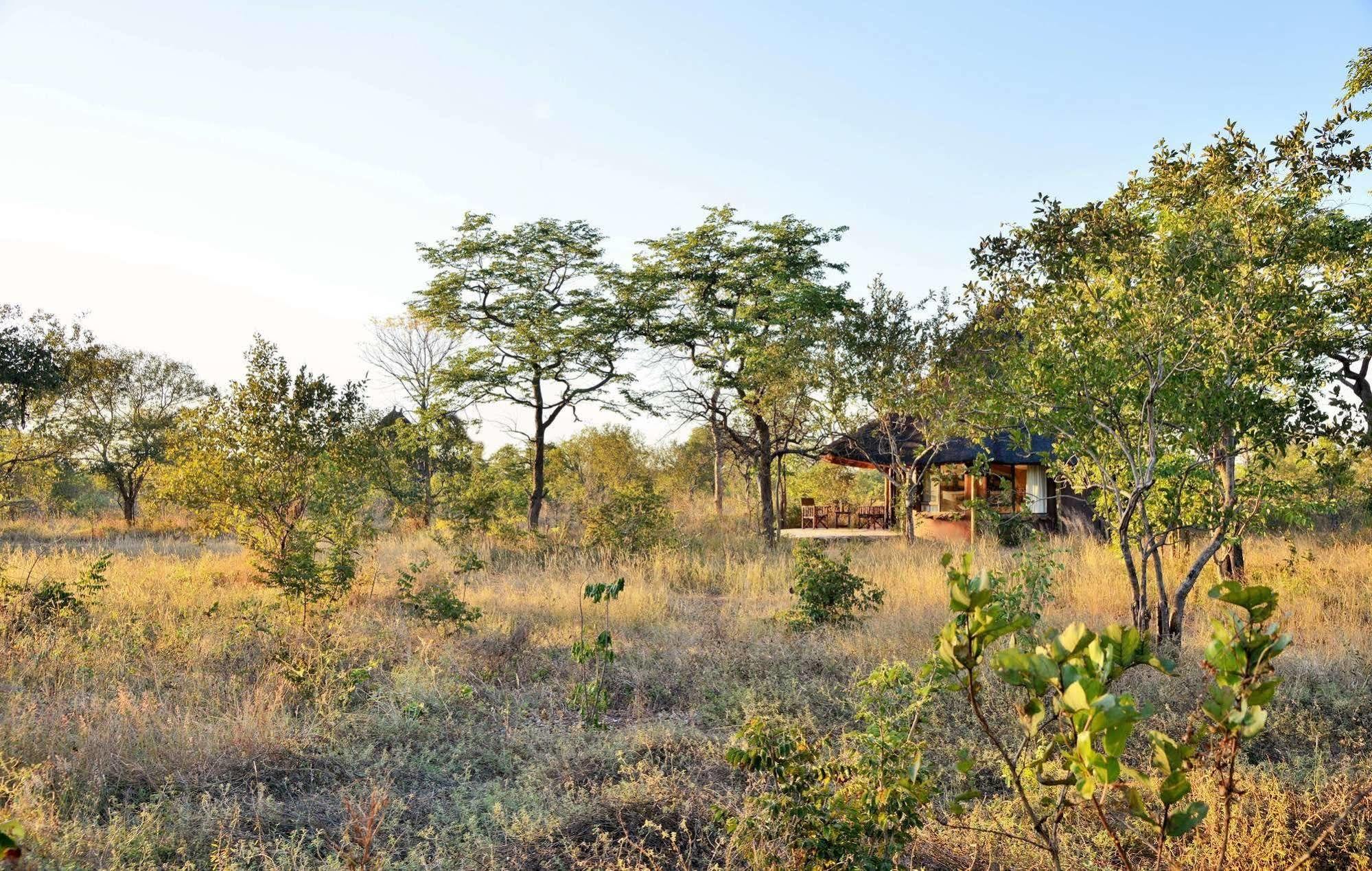 Wildtrack Safaris Eco Lodge Pandamatenga Exterior foto
